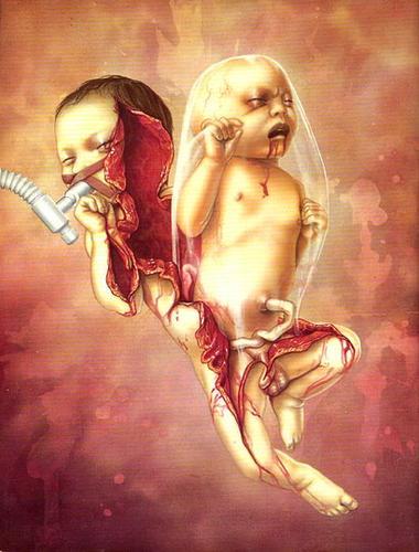 Un bébé comme vous aurez aimé avoir